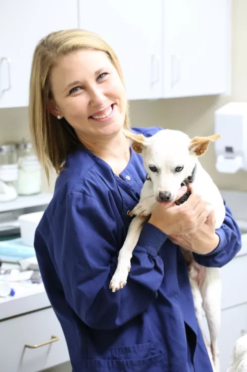 Southern Regional Veterinary Specialists, Florida, Dothan